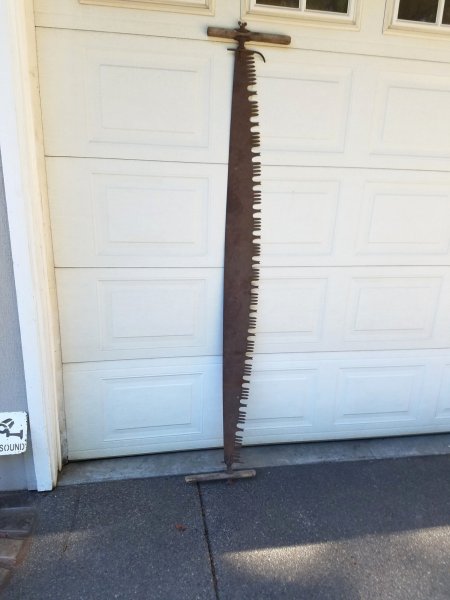 20saw1.jpg