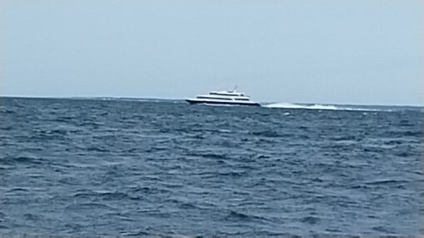 IMG_20260619_083649.jpg