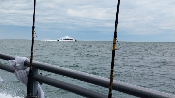 IMG_20260619_083007.jpg