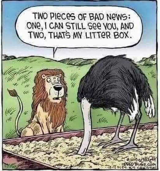 FB_IMG_1658410685206.jpg