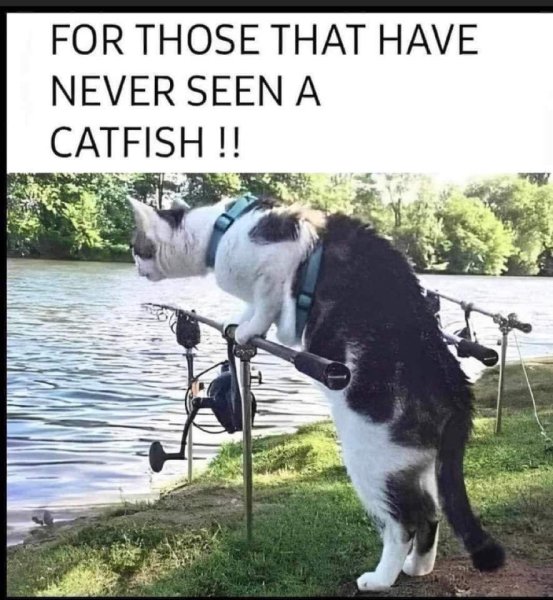FB_IMG_1687773574420.jpg