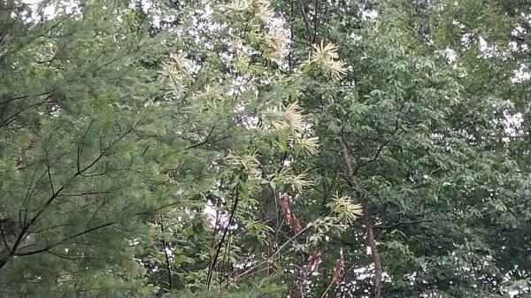 IMG_20260626_100636.jpg