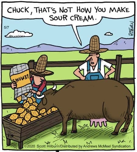 Making sour cream.jpg