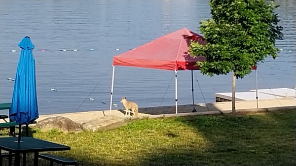 IMG_20260627_071114.jpg