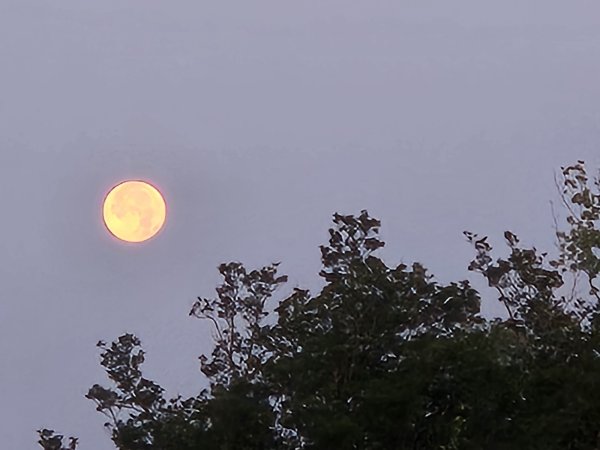 20260630_061251.jpg