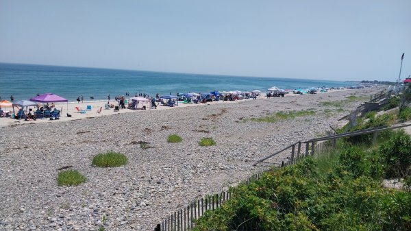 IMG_20260703_120932.jpg