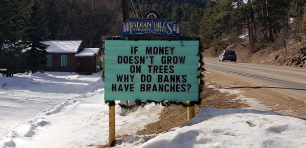Money on trees.jpg