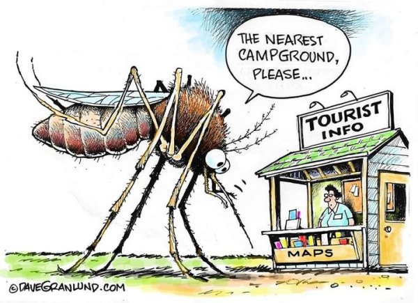 Nearest campground please.jpg