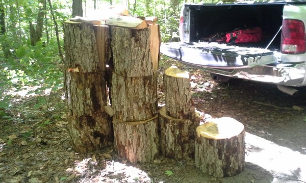 20190617_101157.jpg