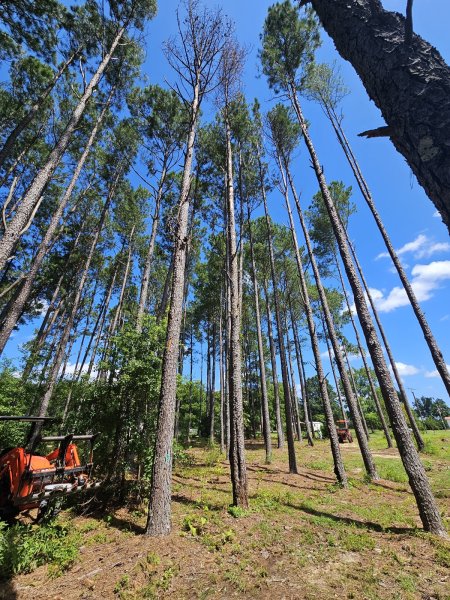 20260720_113331.jpg
