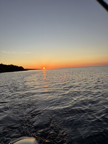 IMG_7455.jpeg