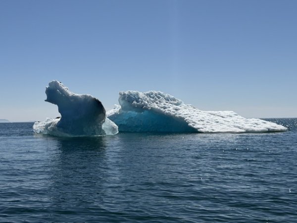 IMG_2194.jpeg
