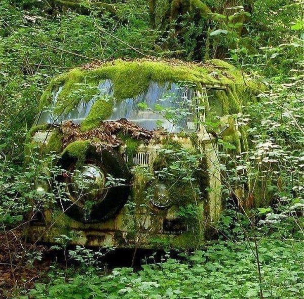 Parked too long.jpg