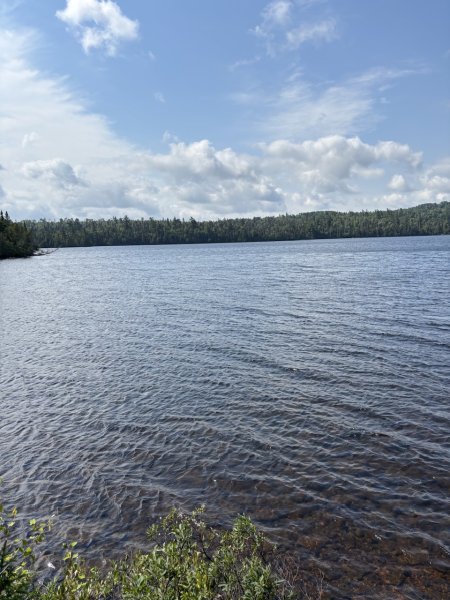 IMG_7481.jpeg