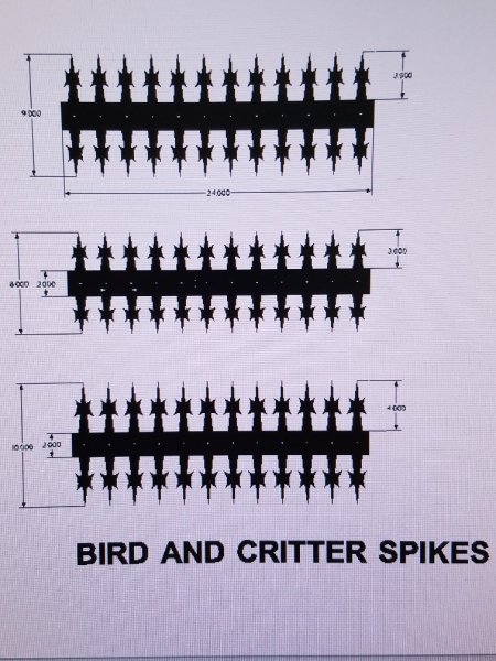 birdspikes.jpg