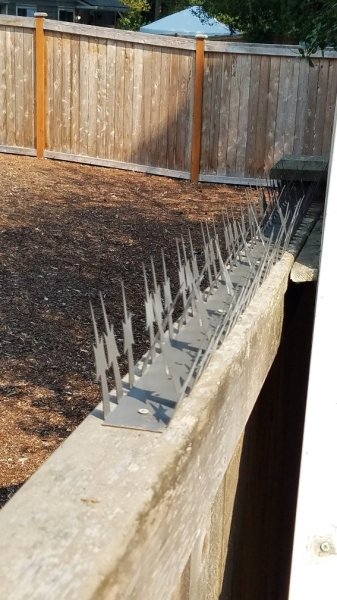 spikes9.jpg