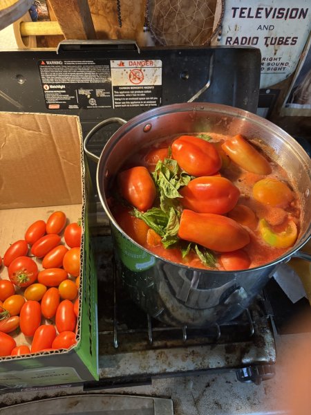 IMG_7571.jpeg