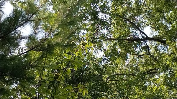 IMG_20260818_101410.jpg