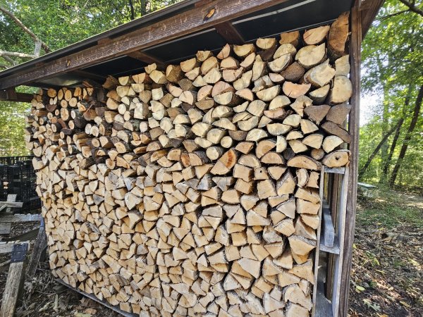 20260821_110930.jpg
