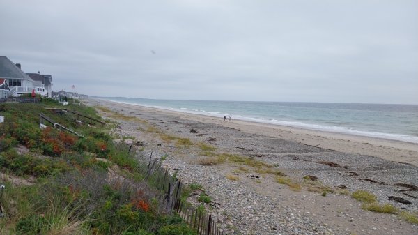 IMG_20260822_120559.jpg