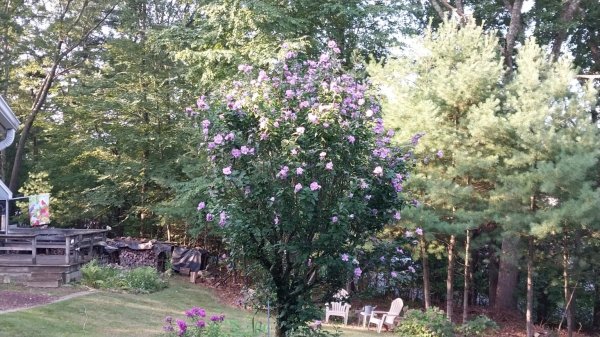 IMG_20260827_080127.jpg