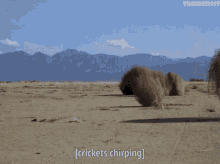IMG_5922.gif