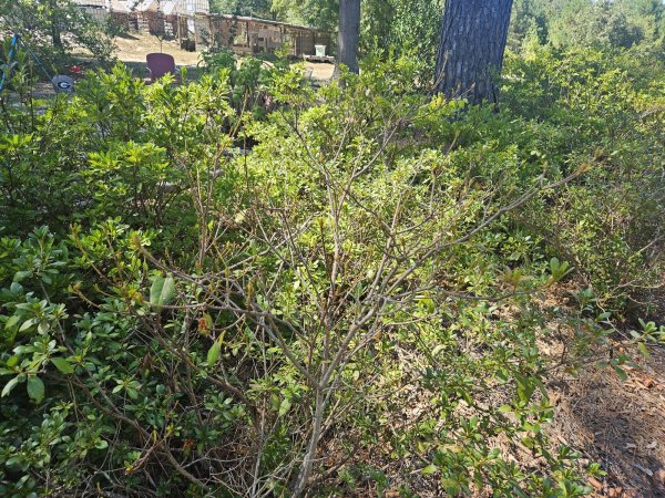 20260905_151356.jpg