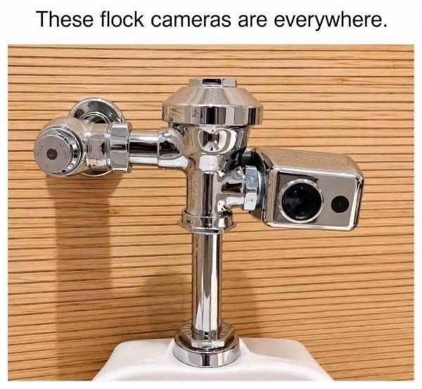 flock cam.jpg