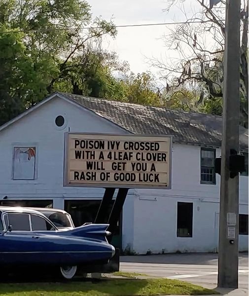 Rash of good luck.jpg