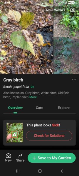 Screenshot_20260917_204124_PictureThis.jpg