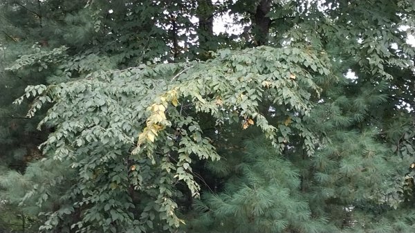 IMG_20260920_085716.jpg
