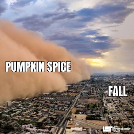 images-41.jpeg