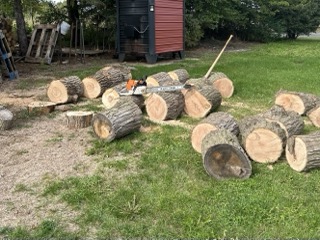 IMG_0361 Small.jpeg