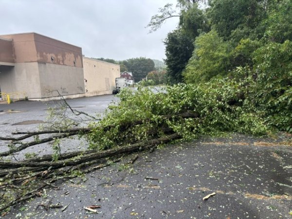 blowdown1.jpg