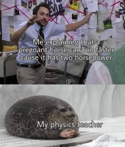 1790533367352.jpeg