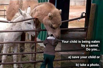 Save or picture.jpg