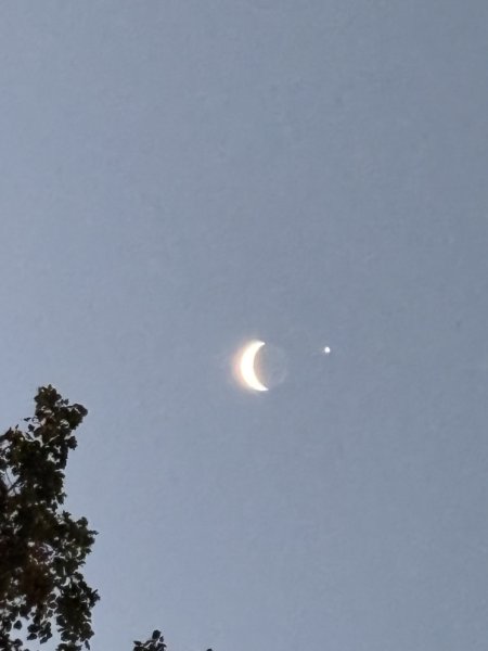 IMG_6620.jpeg