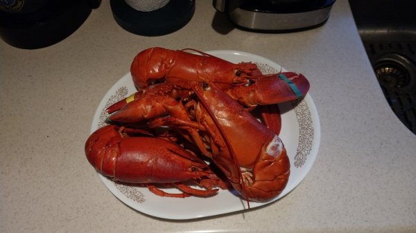 IMG_20261018_113553.jpg