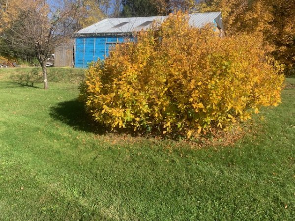 image2.jpeg