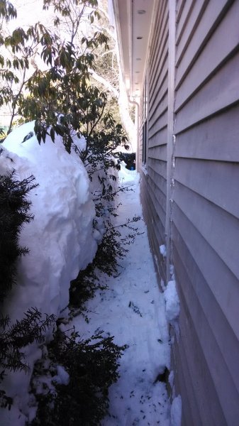 2015-02-13 14.05.57.jpg