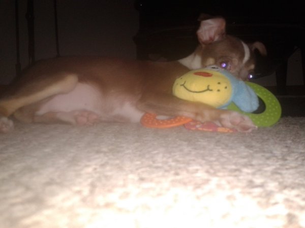 20150214_122643.jpg