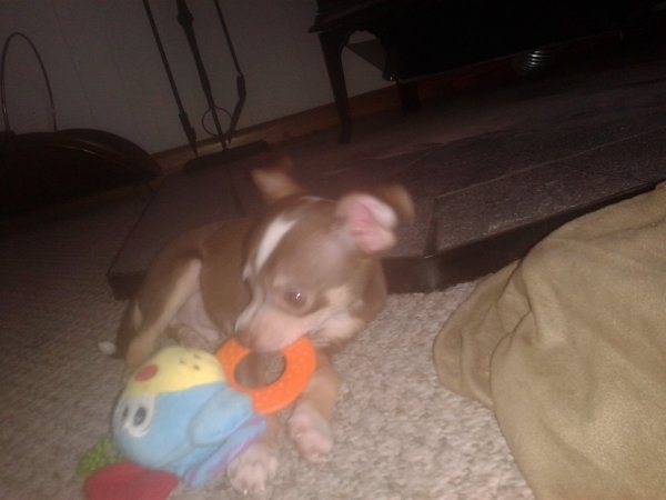 20150214_122704.jpg