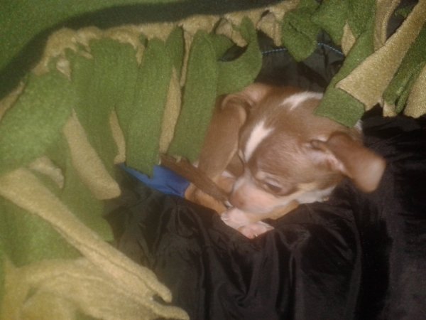 20150214_160521.jpg