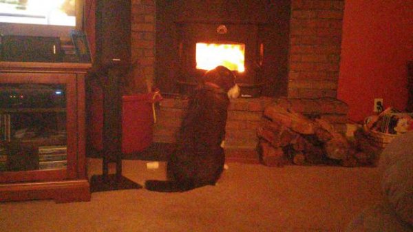20150218_212751.jpg
