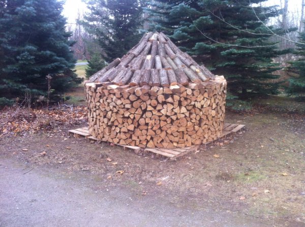image345.jpg