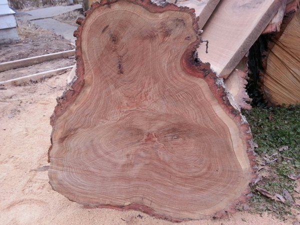 Oak slab 9.jpg