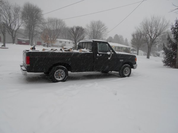 winter cherry 001.jpg