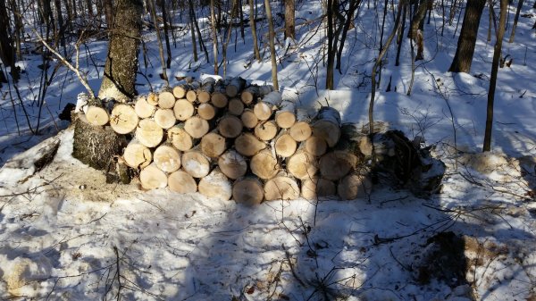 20150221_152705.jpg