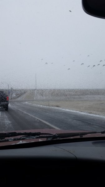 20150222_131309.jpg