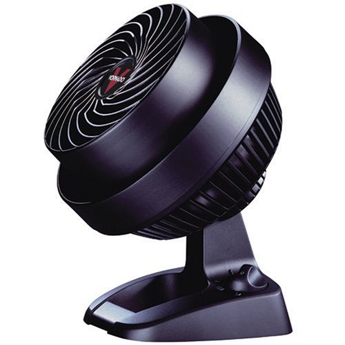 Vornado fan.jpg